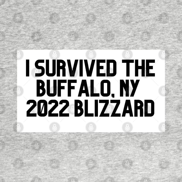 I SURVIVED THE BUFFALO NY 2022  BLIZZARD by EmoteYourself